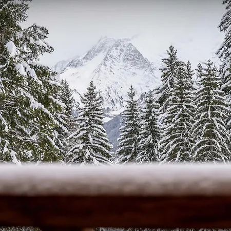 Chalet Amethyste - Ovo Network *